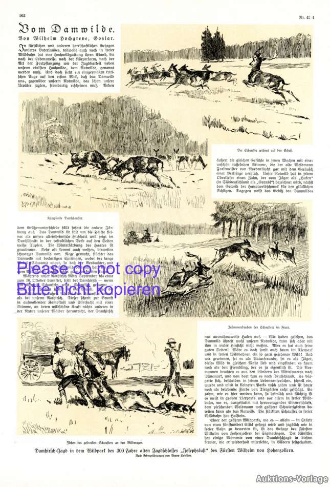 Rotwild online datieren kostenlos